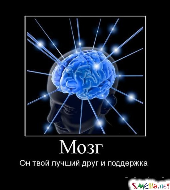 Мозг Он твой лучший друг и поддержка