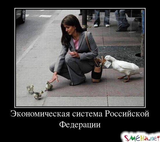 Экономическая система Российской Федерации