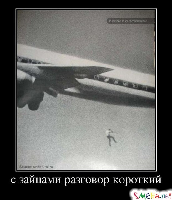 С зайцами разговор короткий