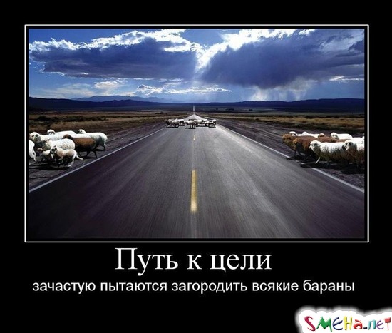 Путь к цели - зачастую пытаются загородить всякие бараны
