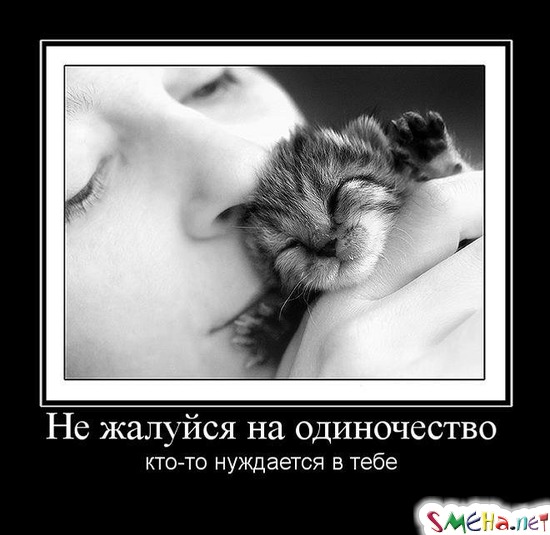 Не жалуйся на одиночество - кто-то нуждается в тебе