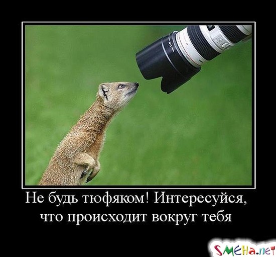 Не будь тюфяком! Интересуйся, что происходит вокруг тебя