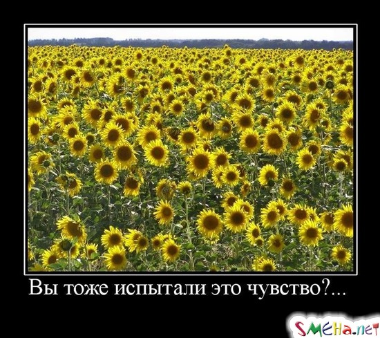Вы тоже испытали это чувство?...
