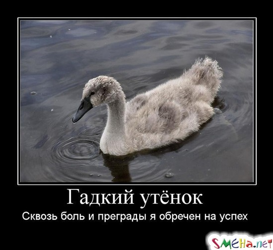 Гадкий утёнок - Сквозь боль и преграды я обречен на успех
