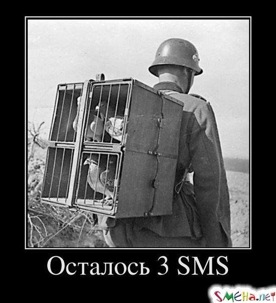 Осталось 3 SMS