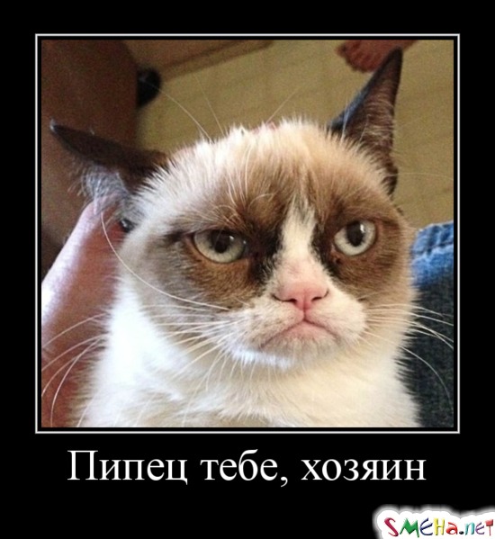 Пипец тебе, хозяин