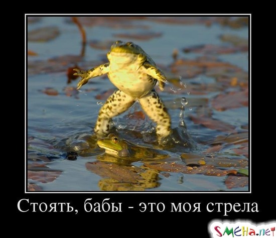 Стоять, бабы - это моя стрела