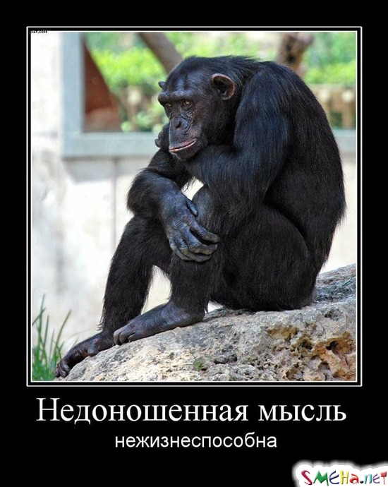 Недоношенная мысль - нежизнеспособна