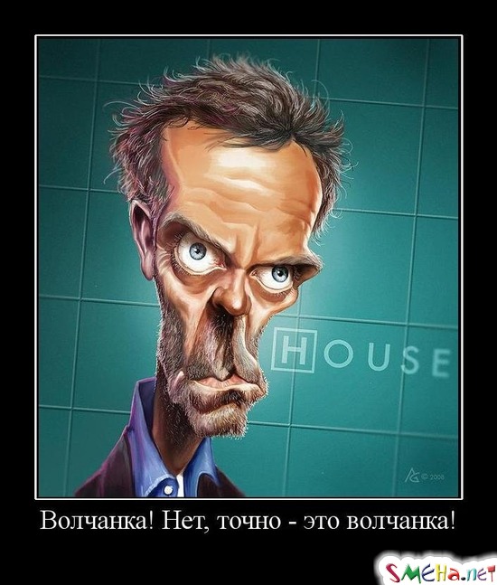 Волчанка! Нет, точно - это волчанка!