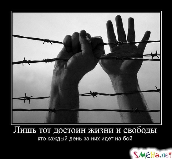 Лишь тот достоин жизни и свободы - кто каждый день за них идет на бой