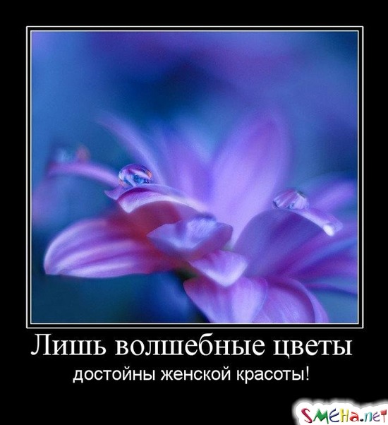 Лишь волшебные цветы достойны женской красоты!