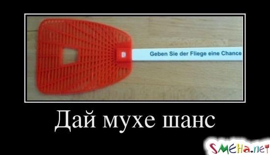 Дай мухе шанс