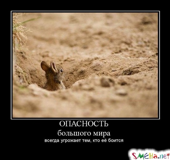 ОПАСНОСТЬ - большого мира всегда угрожает тем, кто её боится