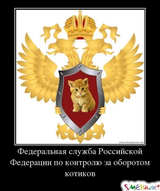 Федеральная служба Российской Федерации по контролю за оборотом котиков