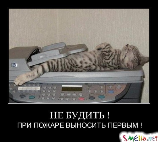 НЕ БУДИТЬ ! - ПРИ ПОЖАРЕ ВЫНОСИТЬ ПЕРВЫМ !