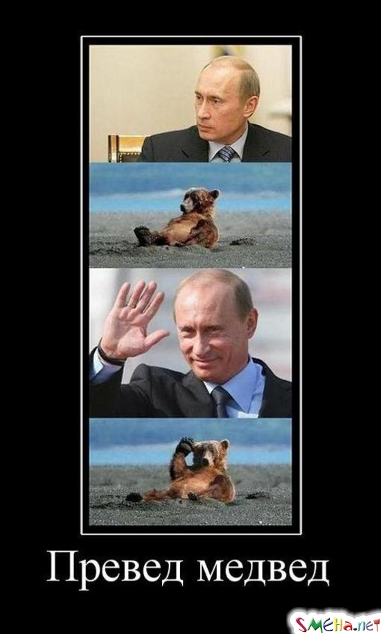Превед медвед