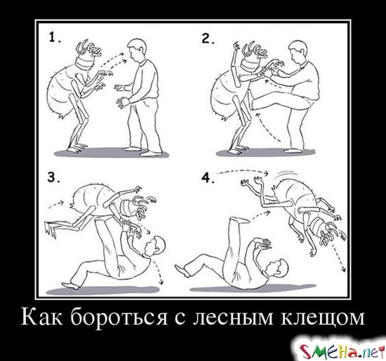 Как бороться с лесным клещом
