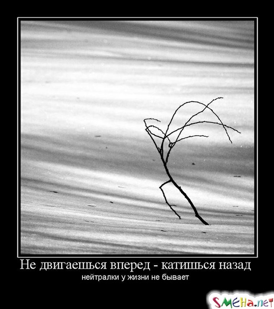 Не двигаешься вперед - катишься назад - нейтралки у жизни не бывает