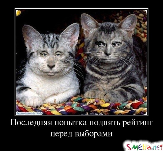 Последняя попытка поднять рейтинг перед выборами