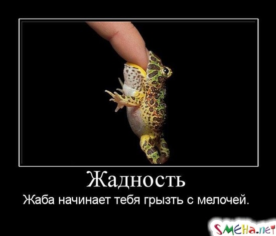 Жадность - Жаба начинает тебя грызть с мелочей.