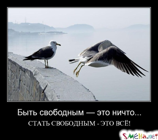 Быть свободным — это ничто... - СТАТЬ СВОБОДНЫМ - ЭТО ВСЁ!