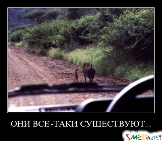 ОНИ ВСЕ-ТАКИ СУЩЕСТВУЮТ...