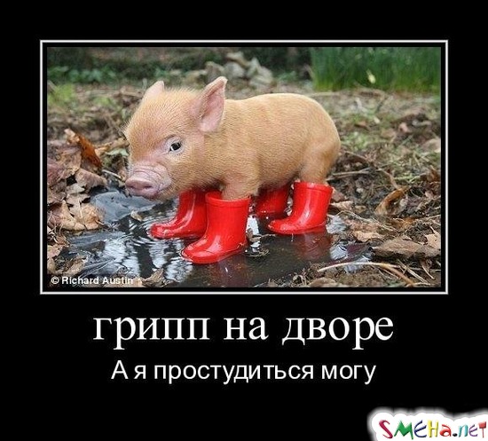 грипп на дворе - А я простудиться могу