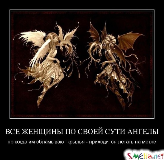 ВСЕ ЖЕНЩИНЫ ПО СВОЕЙ СУТИ АНГЕЛЫ - но когда им обламывают крылья - приходится летать на метле