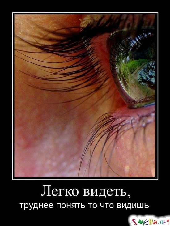 Легко видеть, - труднее понять то что видишь
