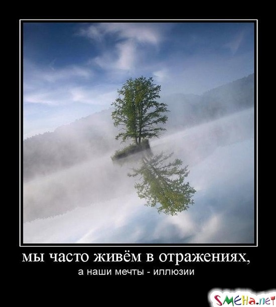 мы часто живем в отражениях, - а наши мечты - иллюзии