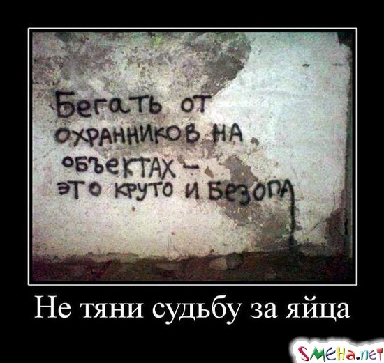 Не тяни судьбу за яйца