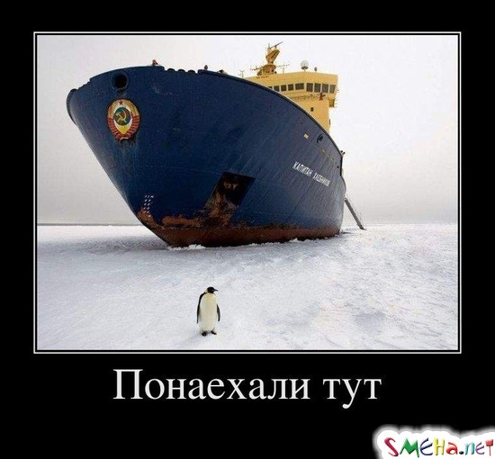 Понаехали тут