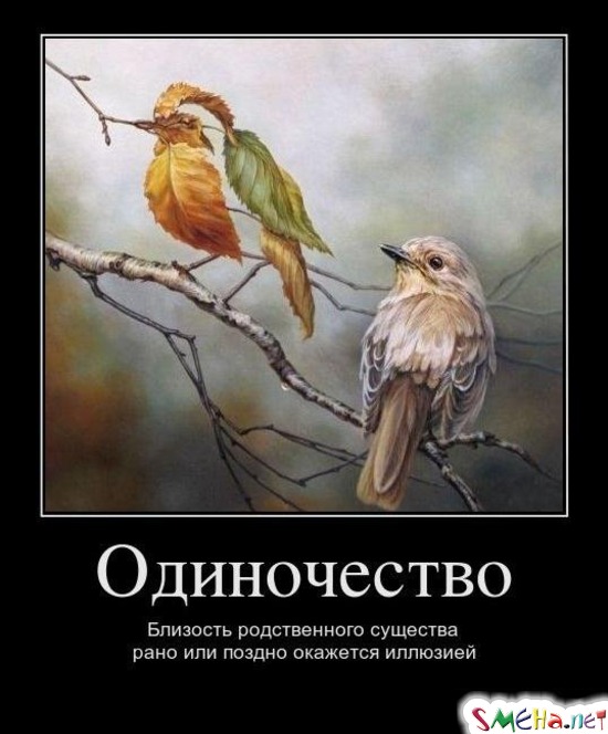 Одиночество - Близость родственного существа рано или поздно окажется иллюзией