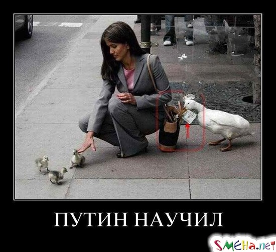 ПУТИН НАУЧИЛ