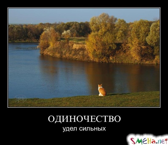 ОДИНОЧЕСТВО - удел сильных
