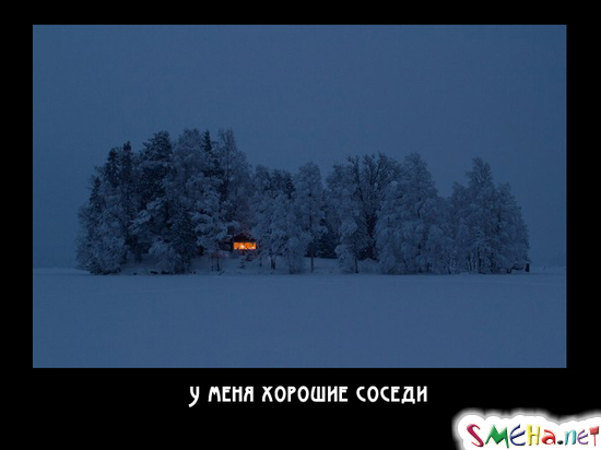 У меня хорошие соседи