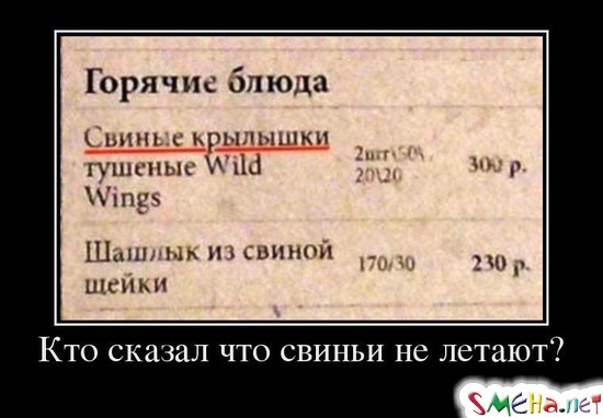 Кто сказал что свиньи не летают?