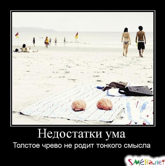 Недостатки ума - Толстое чрево не родит тонкого смысла