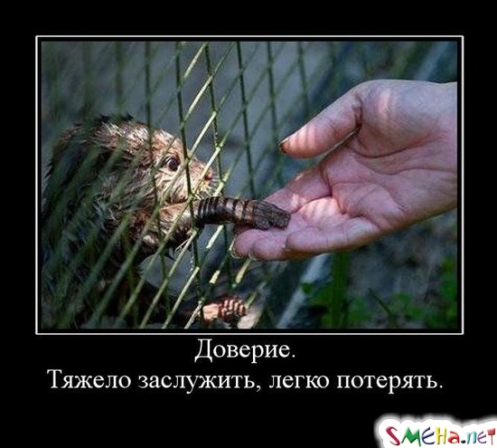 Доверие. - Тяжело заслужить, легко потерять.