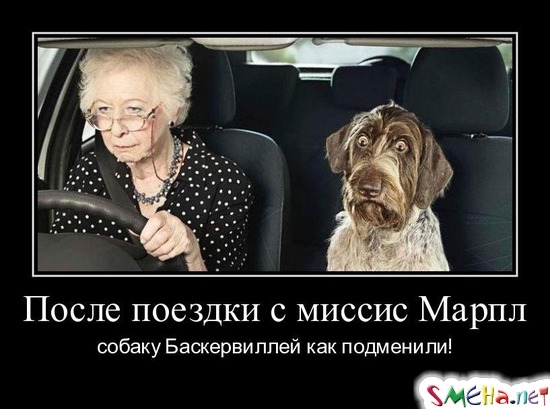 После поездки с миссис Марпл - собаку Баскервиллей как подменили!