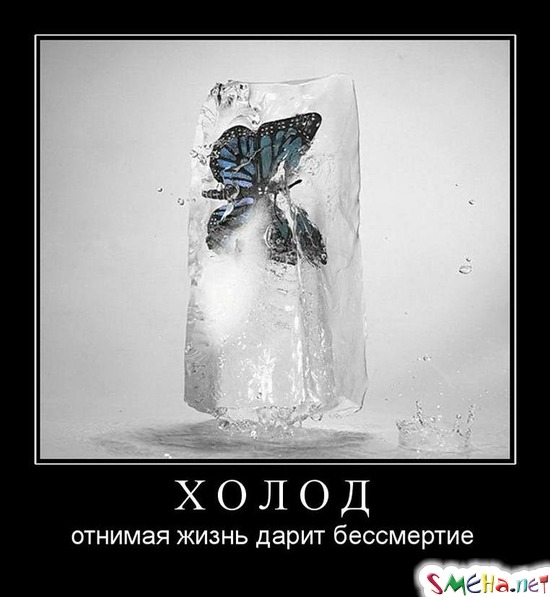 ХОЛОД - отнимая жизнь дарит бессмертие