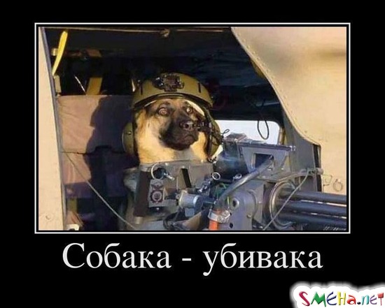 Собака - убивака