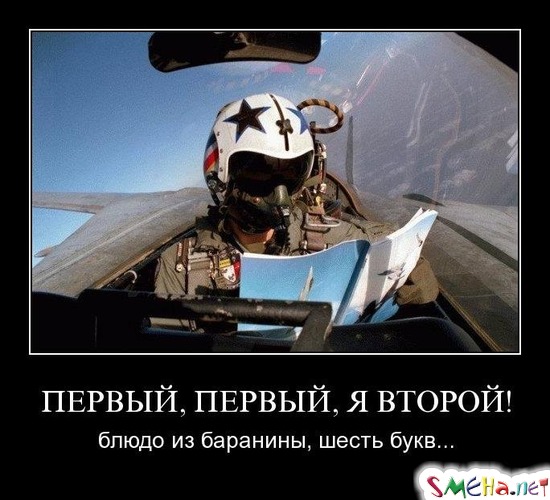 ПЕРВЫЙ, ПЕРВЫЙ, Я ВТОРОЙ! - блюдо из баранины, шесть букв...