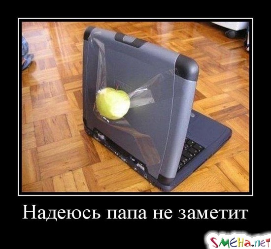 Надеюсь папа не заметит