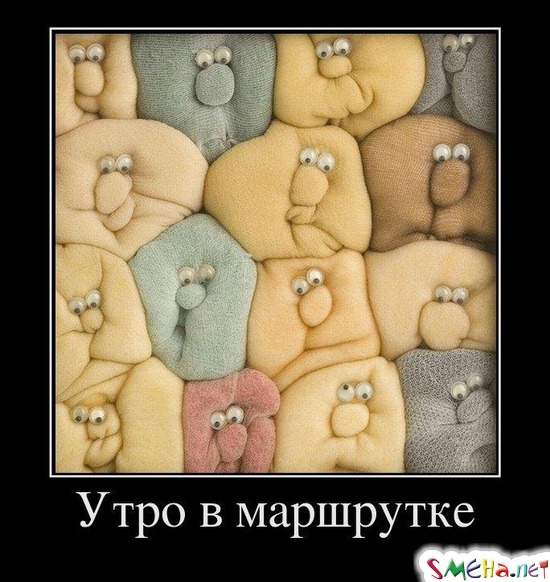 Утро в маршрутке
