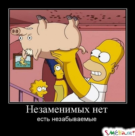 Незаменимых нет есть незабываемые