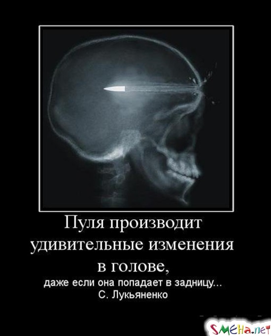 Пуля производит удивительные изменения в голове, - даже если она попадает в задницу... С. Лукьяненко