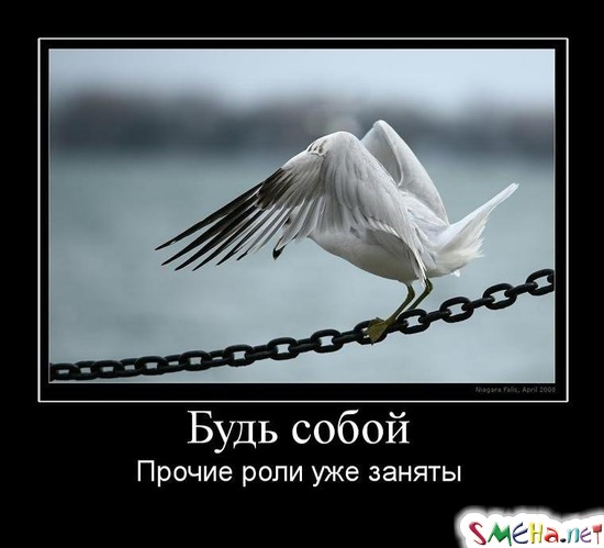 Будь собой - Прочие роли уже заняты