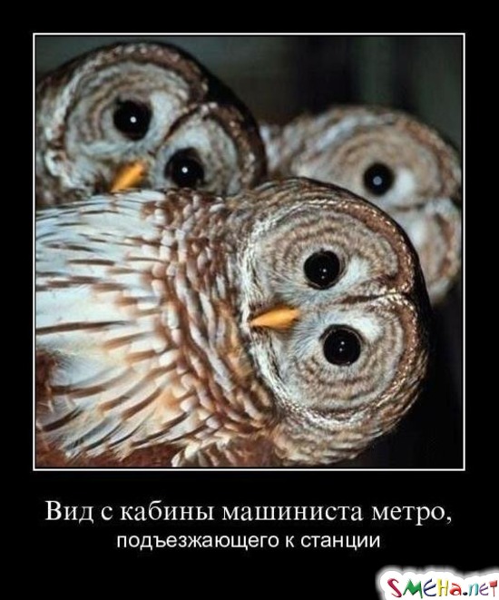 Вид с кабины машиниста метро подъезжающего к станции