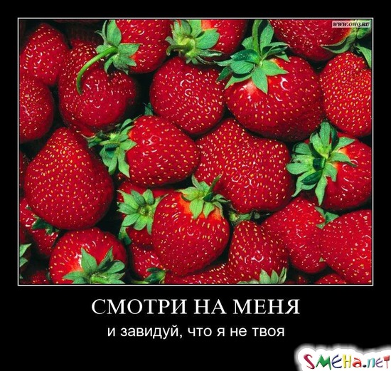 СМОТРИ НА МЕНЯ - и завидуй, что я не твоя